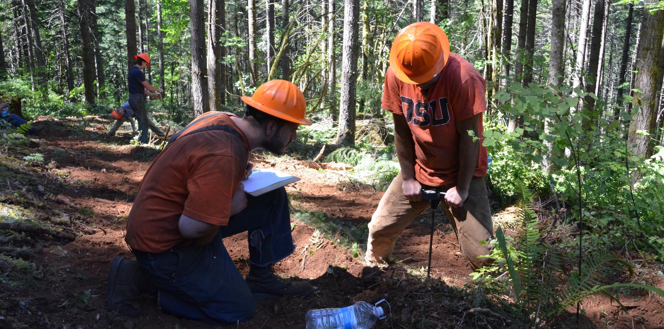 OSU Forestry Students in the Field